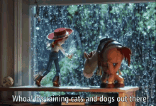 Raining Cats And Dogs Rain GIF - Raining Cats And Dogs Rain Jesse GIFs