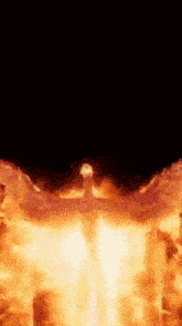 a large explosion with a black background and a lot of fire coming out of it