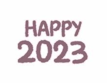 new year happy new year 2022 rabbit nye