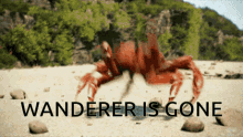 Wanderer Is Gone Wanderer GIF - Wanderer Is Gone Wanderer Crab GIFs