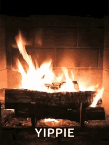 Fireplace Yippie GIF - Fireplace Fire Yippie GIFs