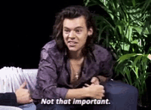 Not Important Harry Styles GIF