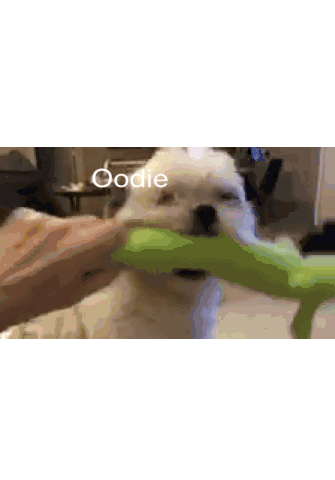 Oodles Dog Sticker - Oodles Dog Doggo Stickers
