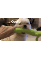 Oodles Dog Sticker