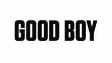 Good Boy Iso GIF - Good Boy Iso Valorant GIFs