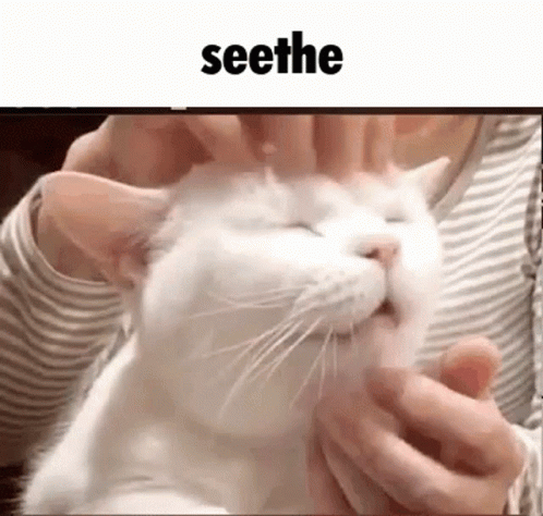 seethe-cope.gif