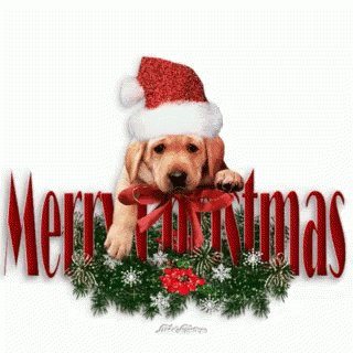 Merry Christmas Dog GIF - Merry Christmas Dog Cute - Discover ...