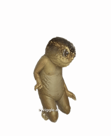a picture of a frog with the words oviggle.ai written below it