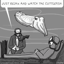 Watch This Guy Watch The Cuttlefish GIF - Watch This Guy Watch The Cuttlefish Just Relax GIFs