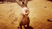 Nani Ane GIF - Nani Ane Donkey GIFs