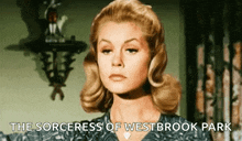 Bewitched Samantha GIF - Bewitched Witch Samantha GIFs