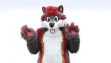 Shadow Raccoon Furry GIF