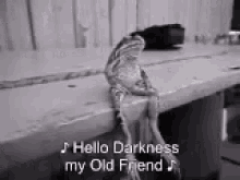 GIF