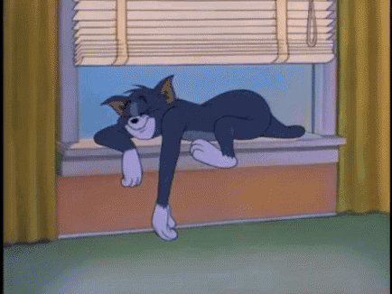 a cartoon cat laying on a window sill with blinds closed