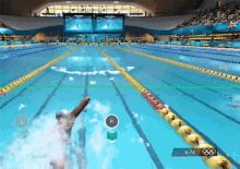 Swim Competitive GIF