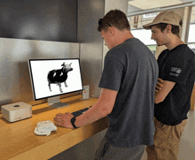 dancing cow apple zamuda rene robotika