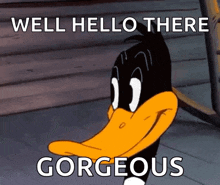 Looney Tunes Daffy Duck GIF - Looney Tunes Daffy Duck Hello GIFs