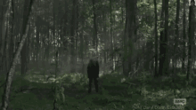 The Whispers Alpha GIF - The Whispers Alpha Walking Dead GIFs