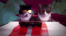 Vroom Vroon GIF - Vroom Vroon Cats GIFs