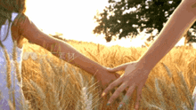 Holding Hands Mother And Daughter GIF - Holding Hands Mother And Daughter Wheat Field GIFs