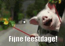 Fijne Feestdage GIF - Pig Happy Fijne Feest Dage GIFs