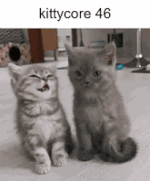 two kittens are sitting next to each other with the text kittycore 46