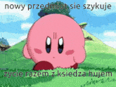 Kirby Polska GIF - Kirby Polska Kirby Poland GIFs