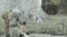 Squirrel Twokindsofpeople GIF - Squirrel Twokindsofpeople Attack GIFs