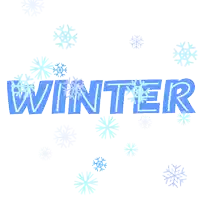 the word winter is surrounded by snowflakes in blue