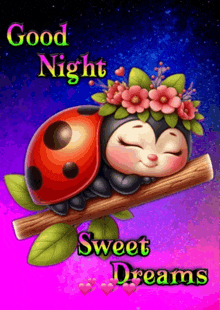 a ladybug is sleeping on a branch with the words " good night sweet dreams " above it