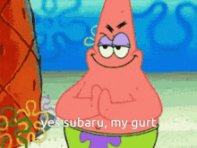 patrick star says yes subaru my gurt in a spongebob cartoon