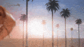 a sunset with palm trees and the words real housewives