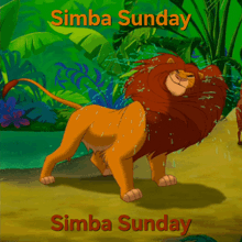 a poster for simba sunday with a lion in the background