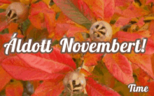 November GIF - November GIFs