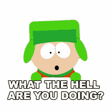 what the hell are you doing kyle broflovski south park world wide recorder concert s3e17