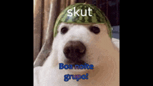 a polar bear wearing a watermelon hat with the words skjut boa noite grupo written on it