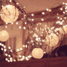 Fairy Lights GIFs | Tenor