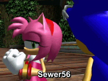 Sonic Riders Sonic GIF