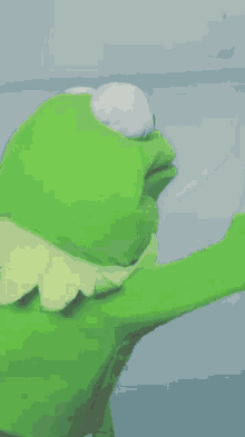 کورد Frog GIF - کورد Frog Fighting GIFs