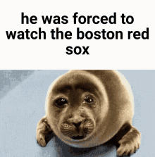 Red Sox Red Sox Lose GIF - Red Sox Red Sox Lose Life Is Pain GIFs