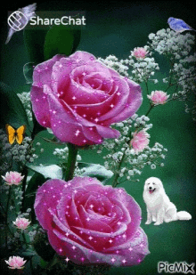 Rose Flowers GIF - Rose Flowers Dog GIFs