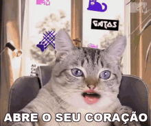 Abre O Seu Coracao Mtv Brasil GIF - Abre O Seu Coracao Mtv Brasil Pode Contar GIFs