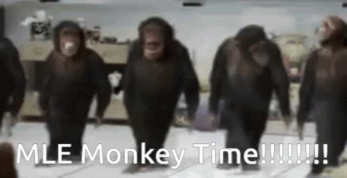 Mle Monkey GIF - MLE Monkey Time - Discover & Share GIFs