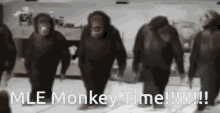 Mle Monkey GIF - Mle Monkey Time GIFs