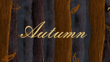 the word autumn is on a wooden background with leaves