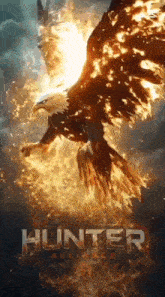 a bald eagle is flying through the air with flames coming out of its wings