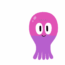 octopus funder
