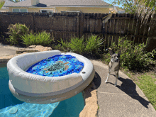 Pool Pool Party GIF - Pool Pool Party Swimming GIFs
