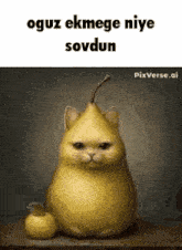 a cat that looks like a pear is sitting on a table next to an apple .