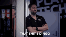 That Shits Dingo GIF - That Shits Dingo GIFs